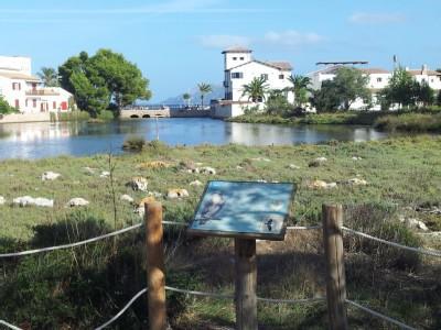 La Gola House Apartment Port de Pollença Ngoại thất bức ảnh
